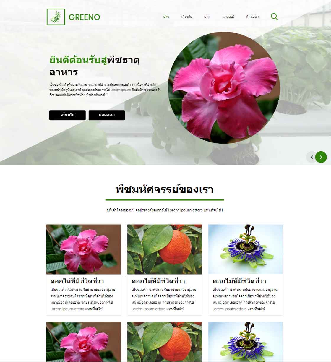 ทำเว็บไซต์ สำเร็จรูป